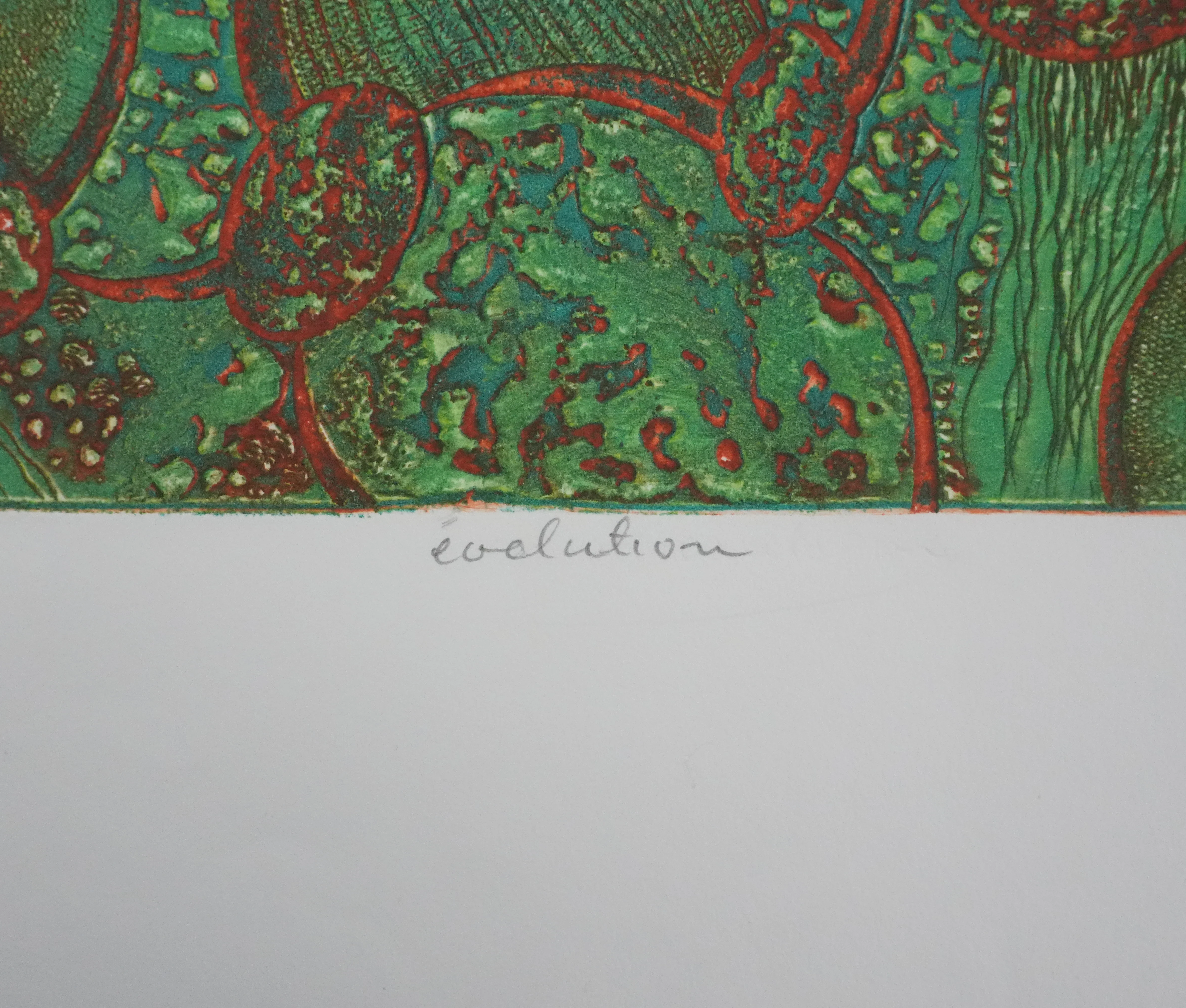 Image du produit 7