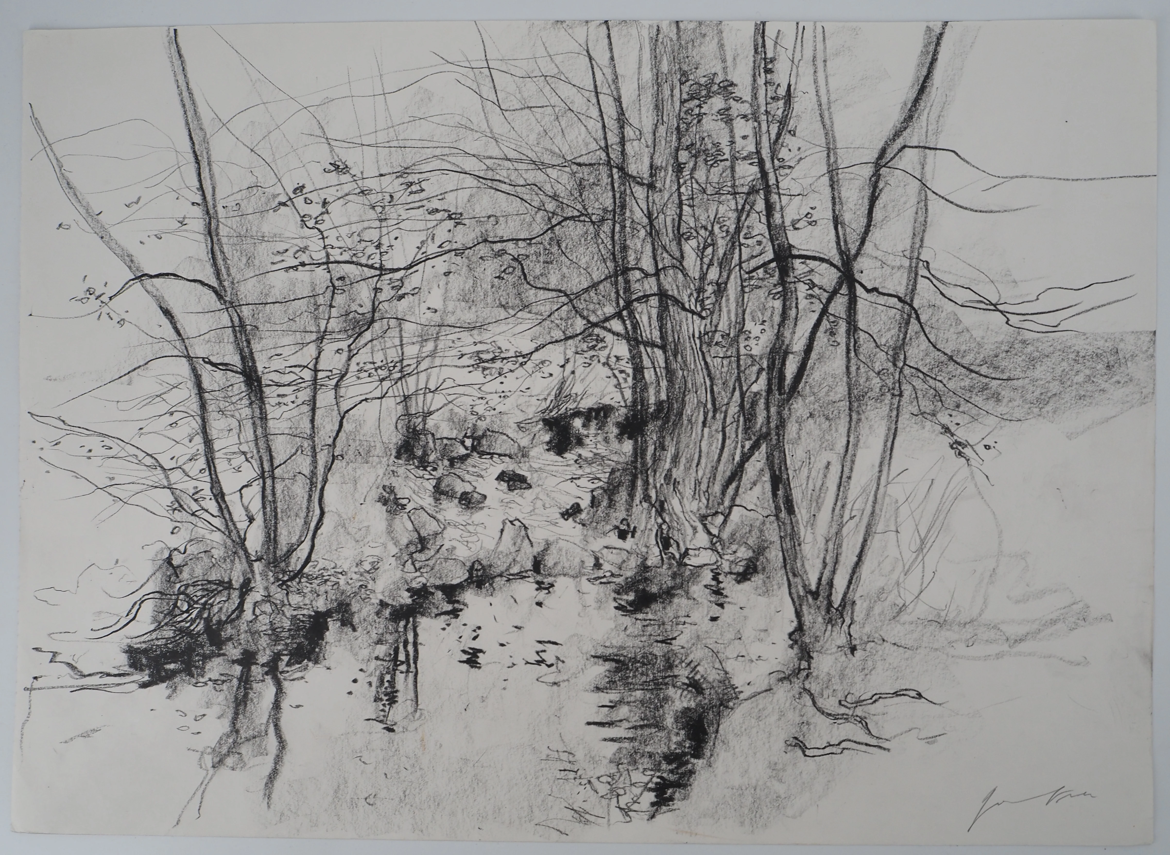 Miniature 1