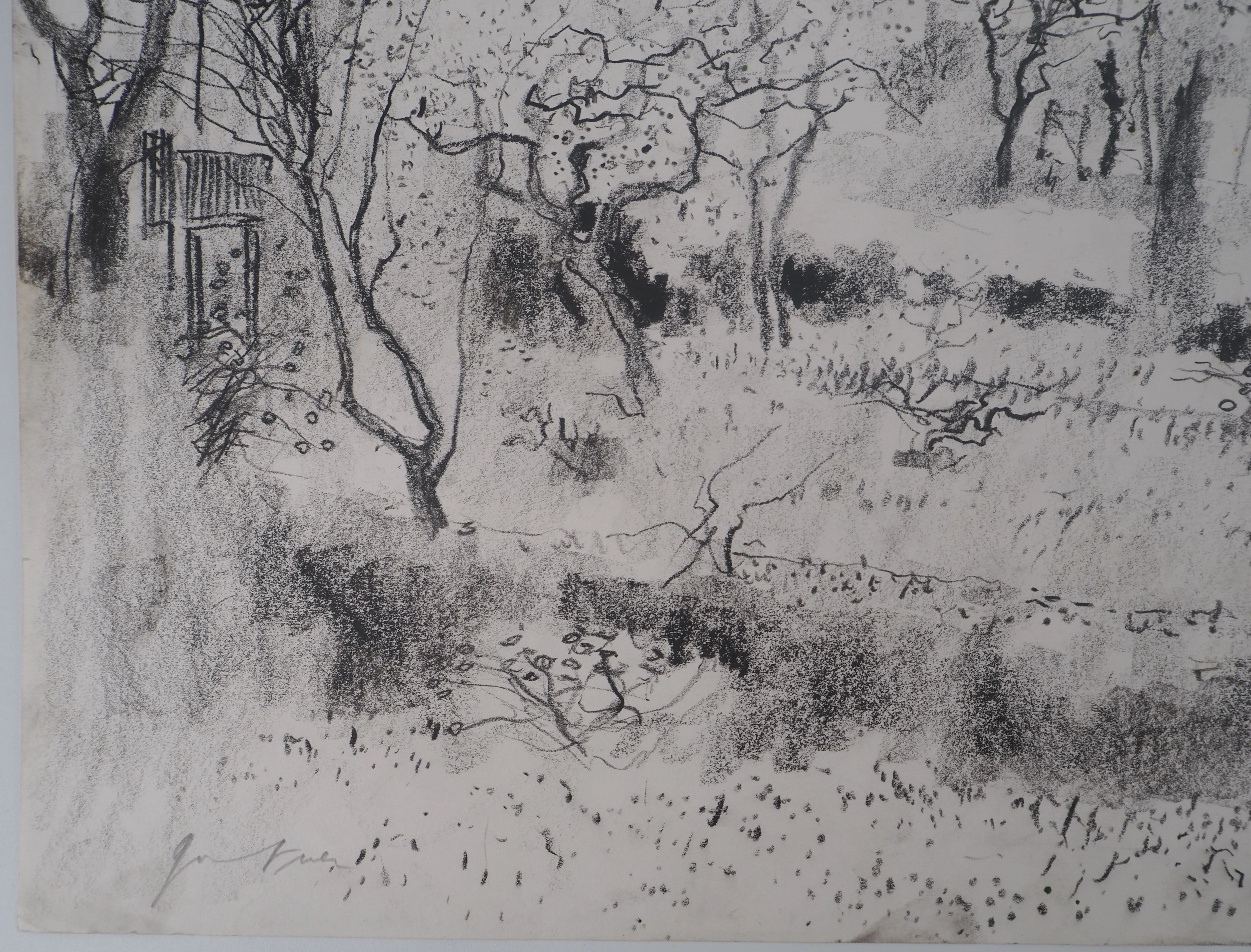 Image du produit 7