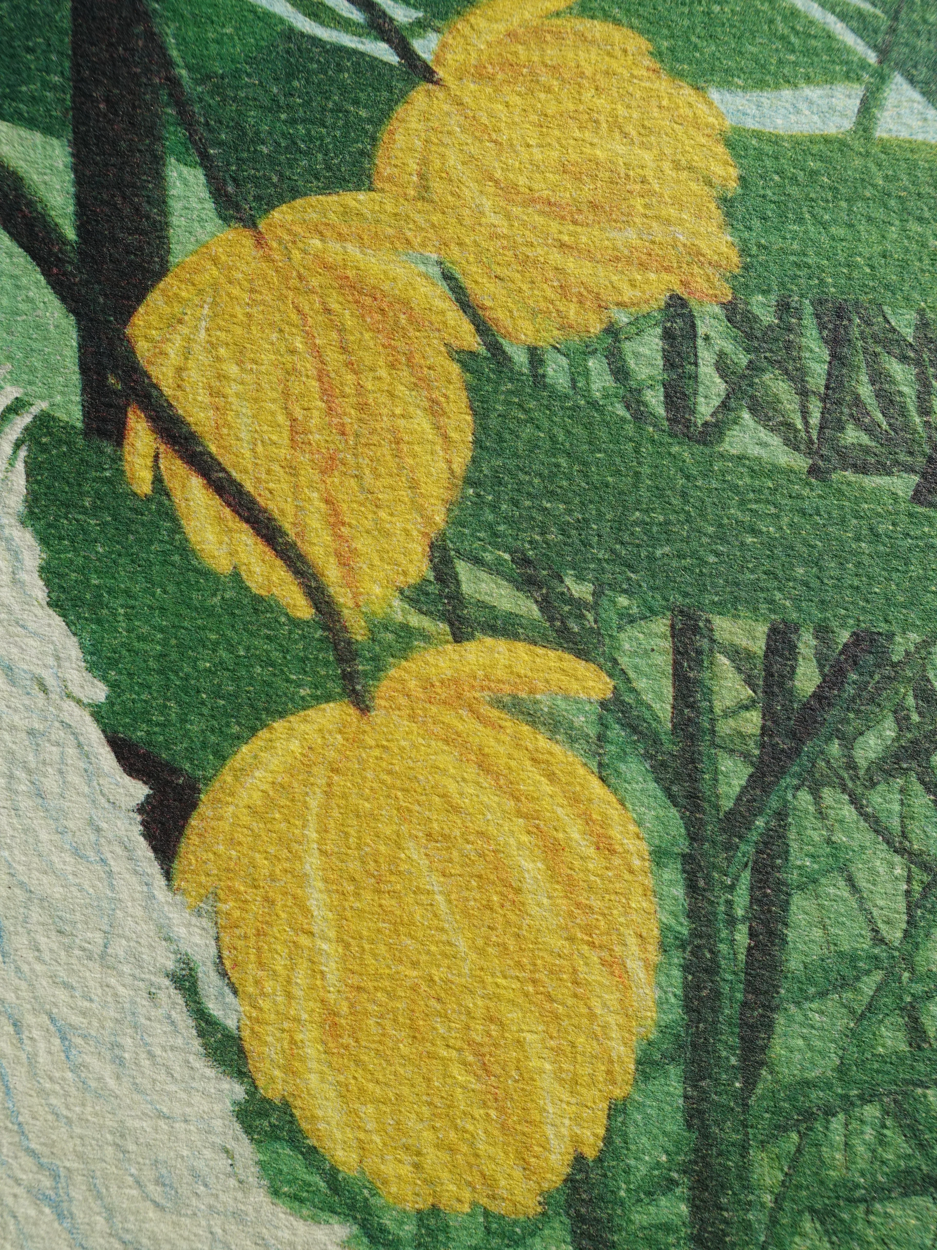 Image du produit 10
