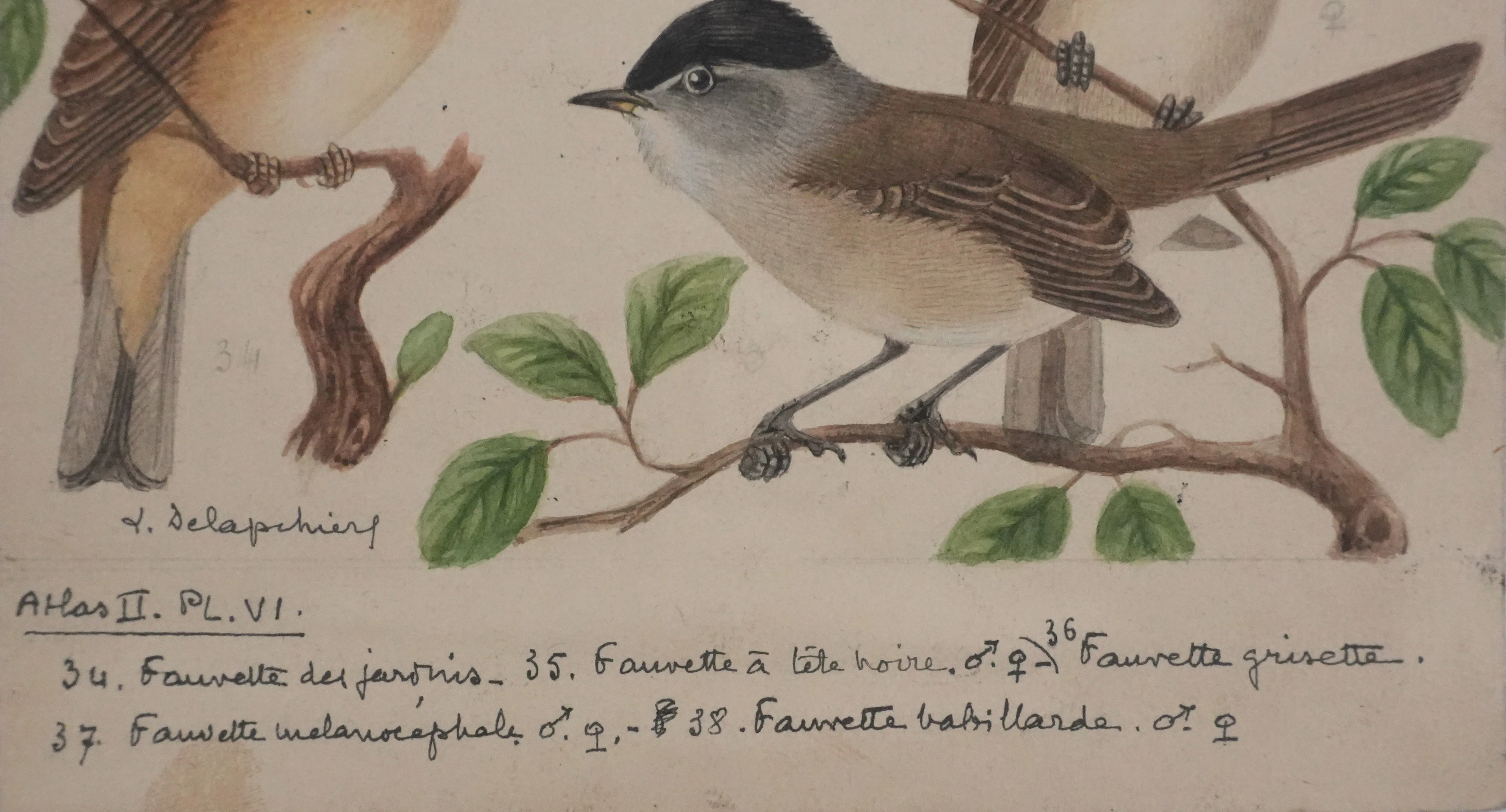 Image du produit 8