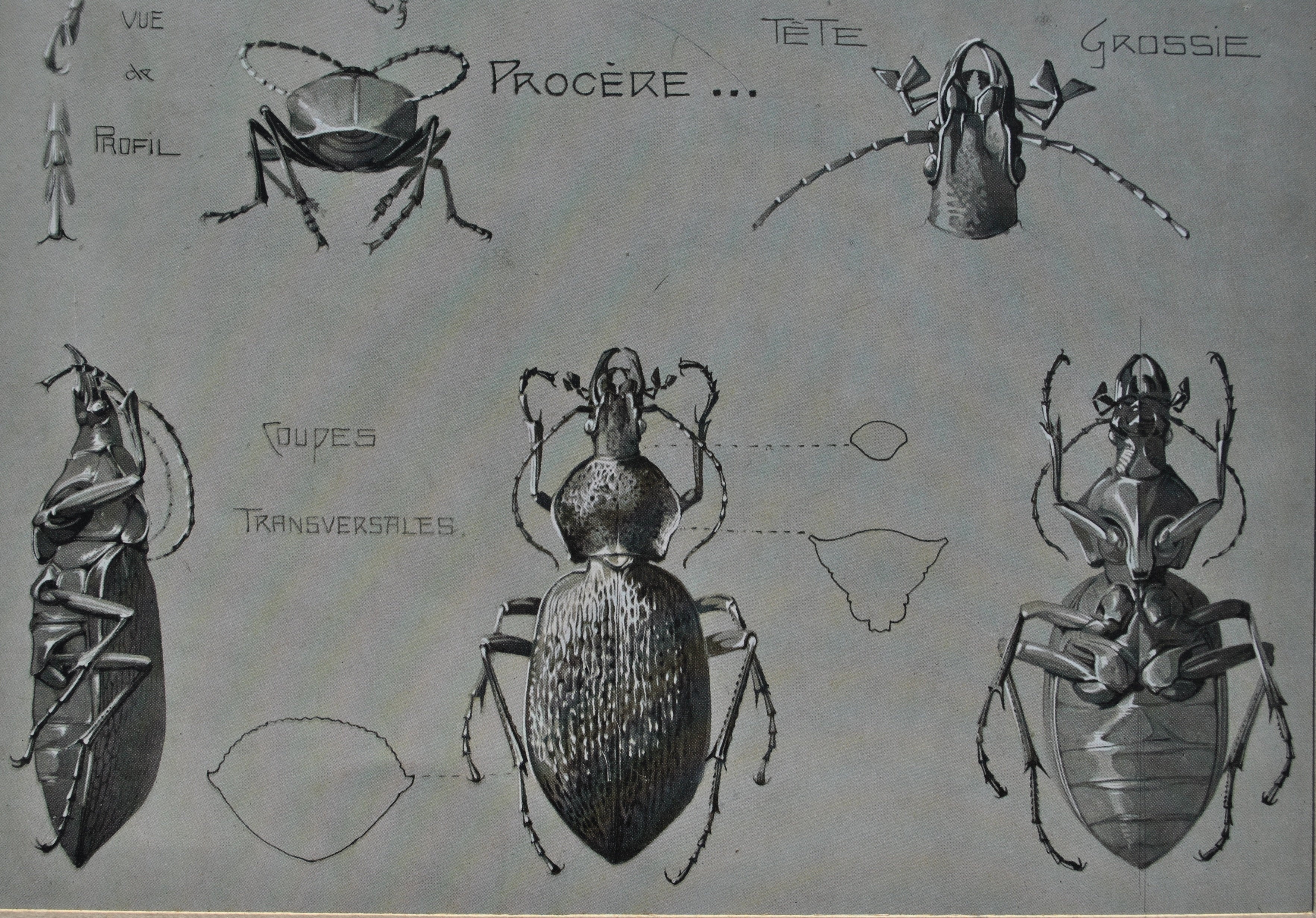 Image du produit 7