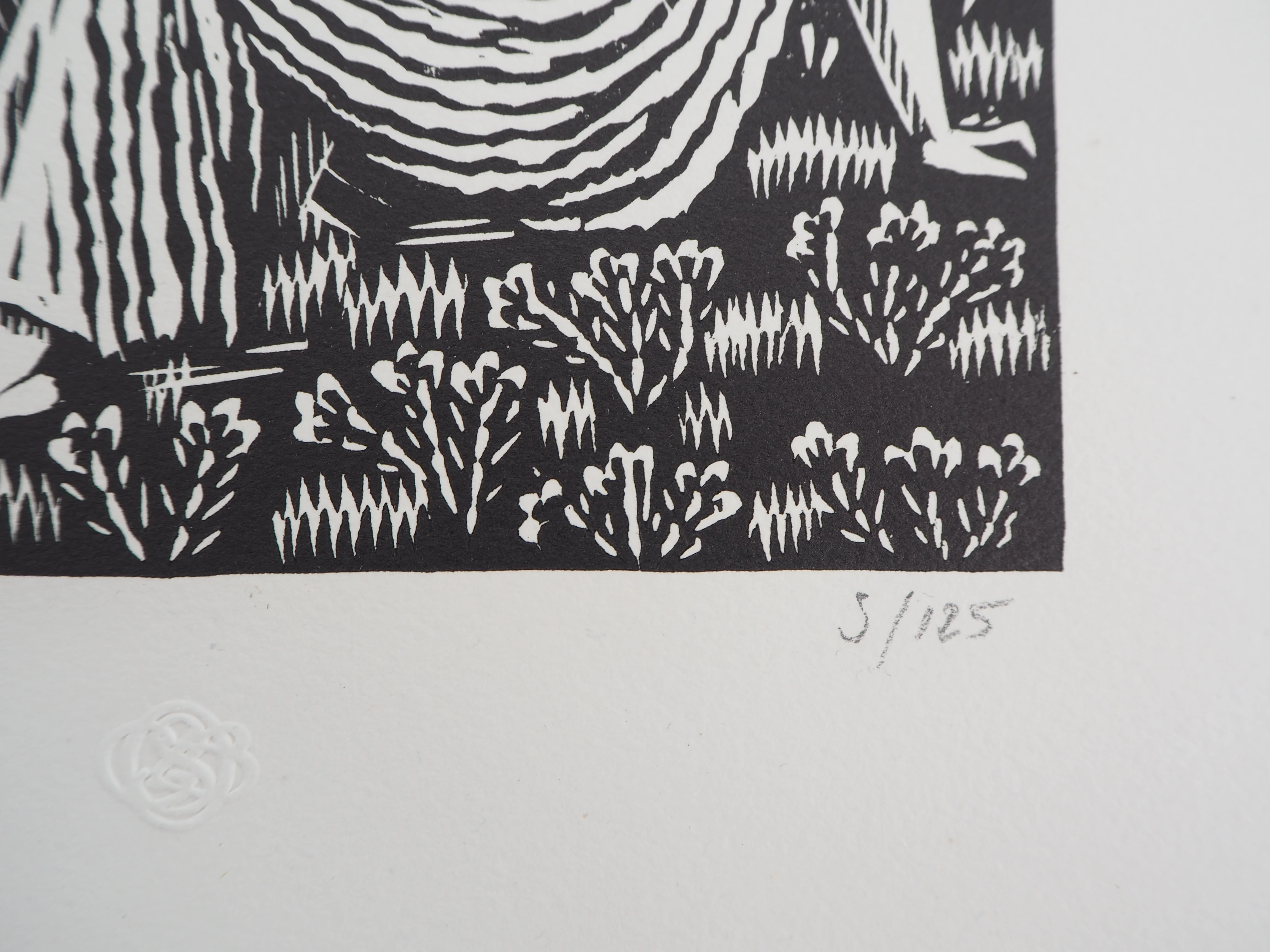 Image du produit 6
