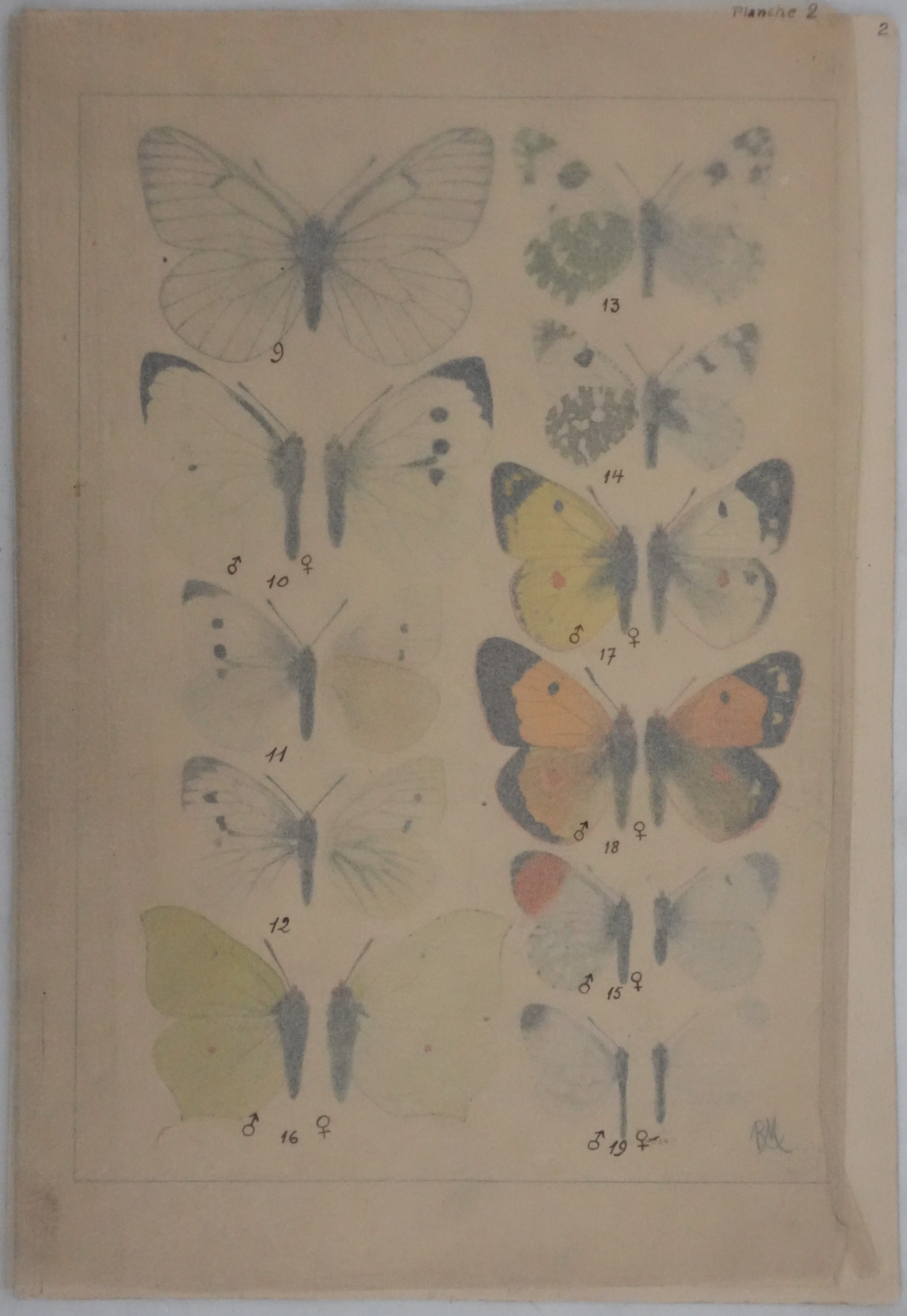 Image du produit 8