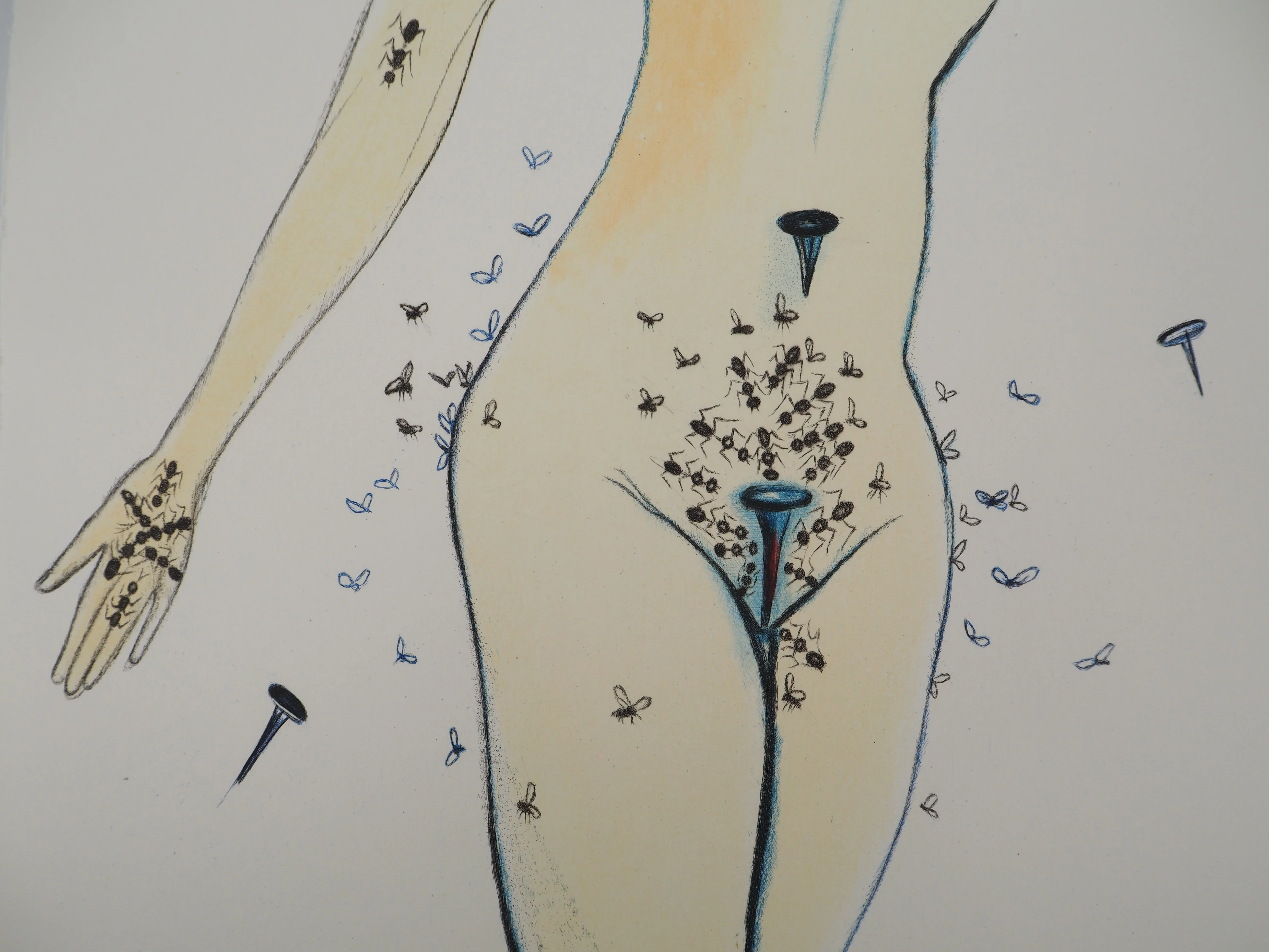 Image du produit 6