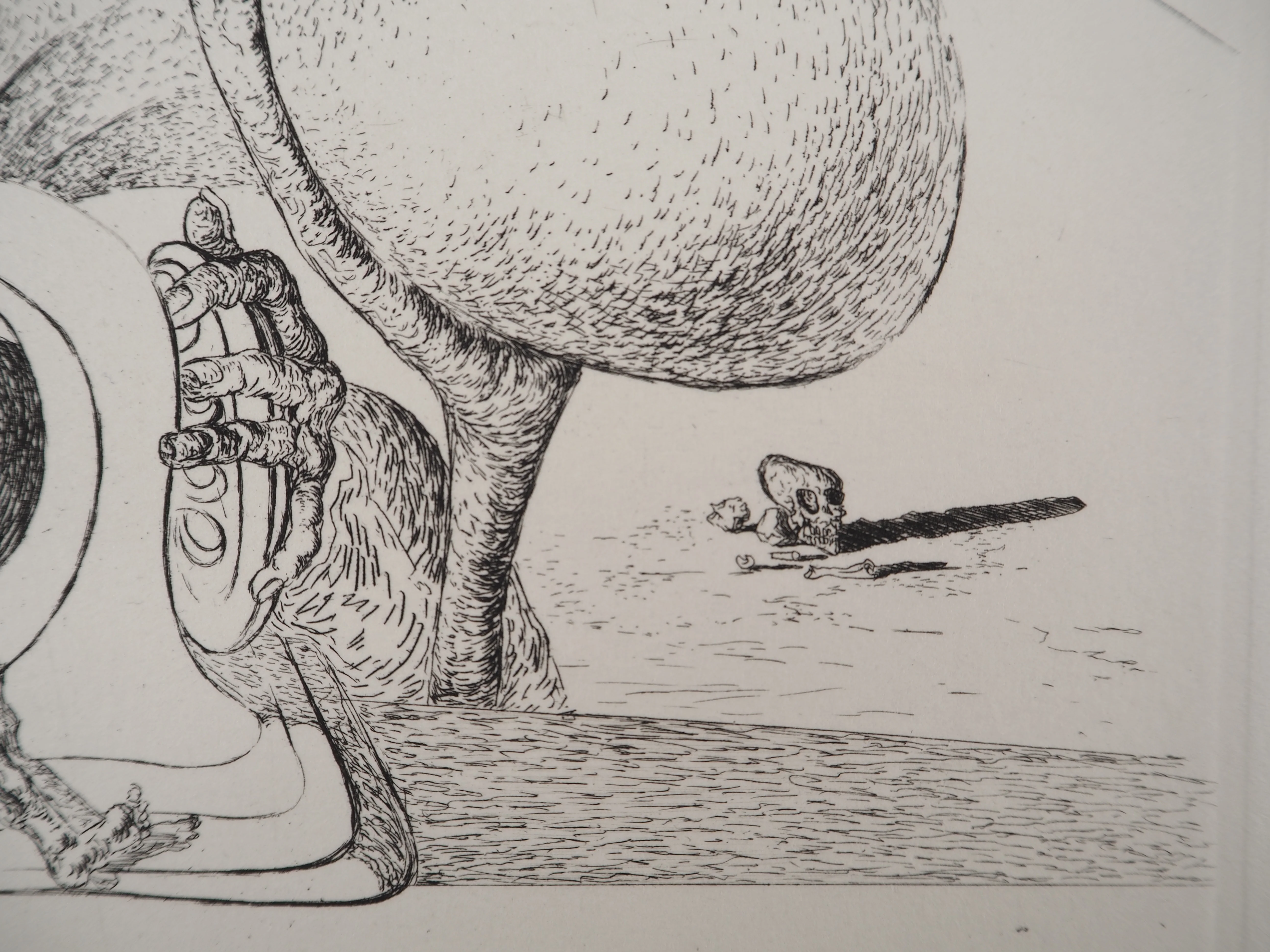Image du produit 7
