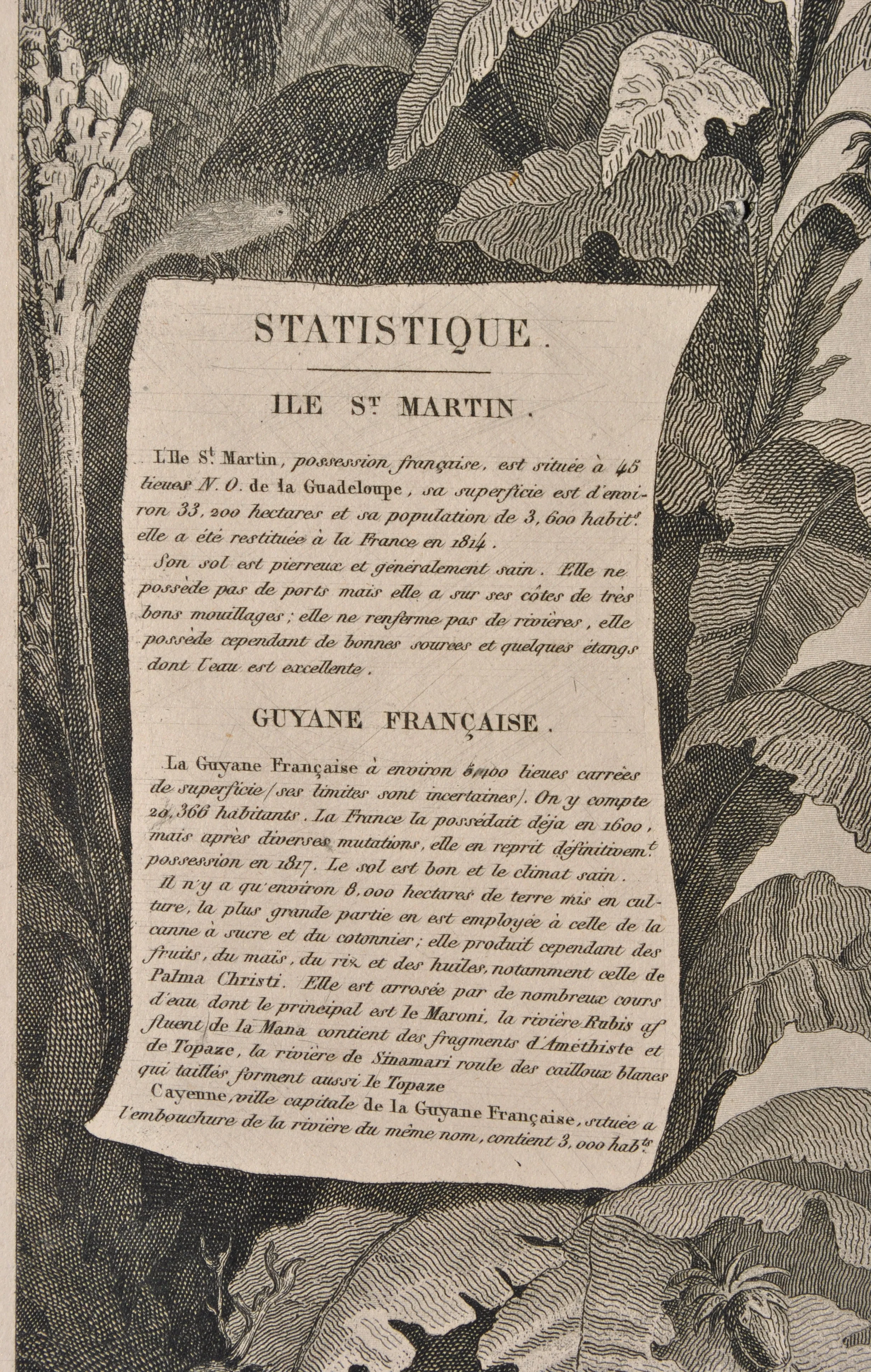 Image du produit 13