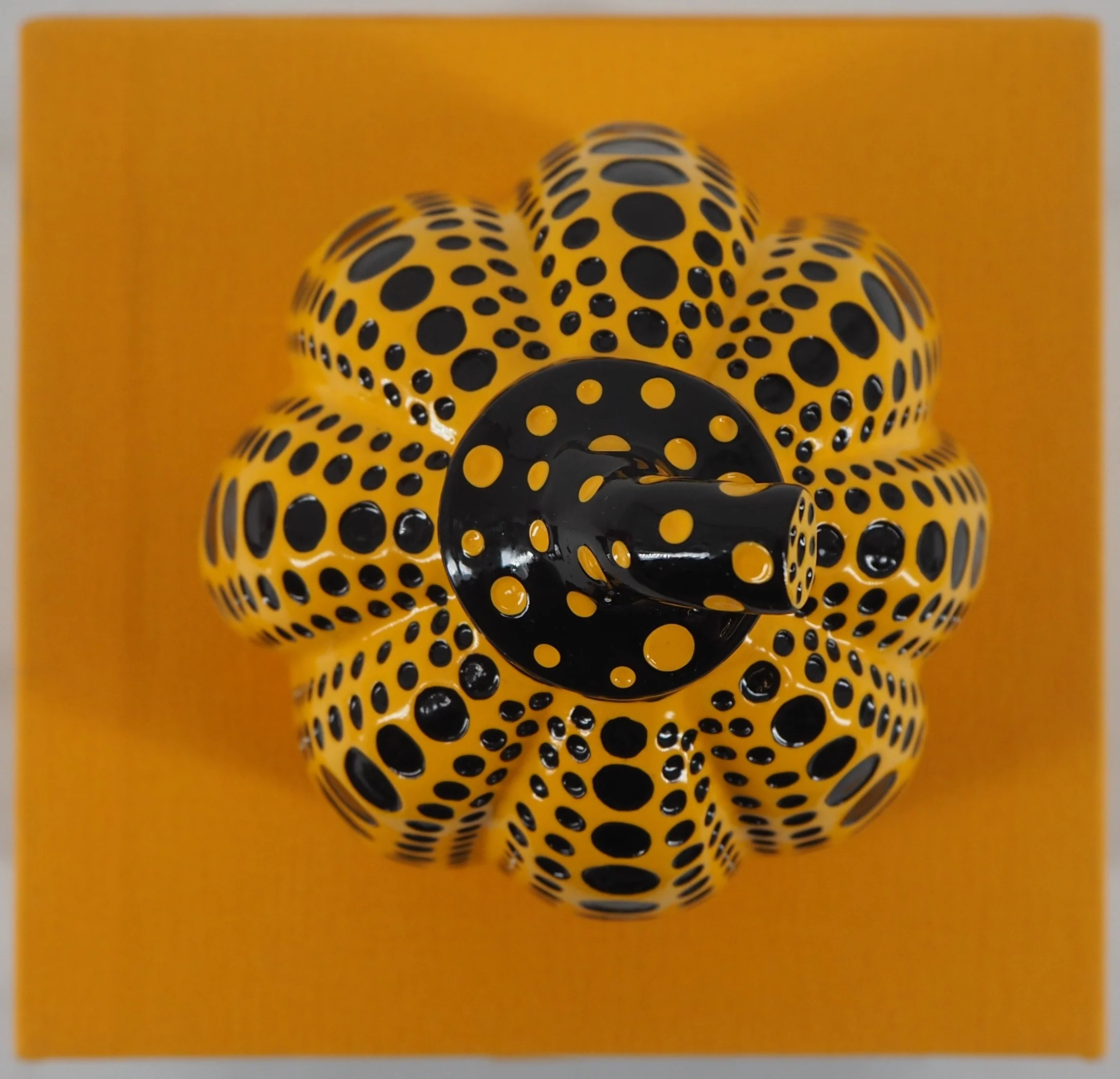 Image du produit 8